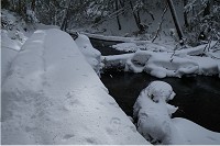 ���쉈���̖ؓ���i�ށE�E�E�B