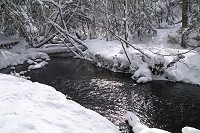 ��i�F�̓���B