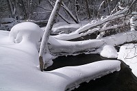 ���т̒��Ȃ̂ɂ��������Ȑϐ�ł����B