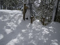 �������ʂƐ�ꃖ�����ʂ̕���B