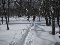 �����ȃA�b�v�_�E�������Ȃ���i�ށE�E�E