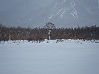 ���߂Č����M�w�l�B