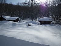 �W�]��ɂ��铌���ƃg�C���B�g�C���͓~�������B