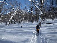 ���т̒������X�ƕ����B�j�̎R�������Ă����B