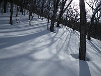 �X���������̉A���Y��B