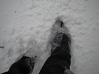 �T���T���ӂ�ӂ�̐�ŋC�������ǂ��̂ł����E�E�E