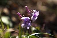 �i�K�n�V�X�~���B