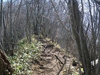 ���邢�������B�����܂ł���ƉԂ͖w�ǂȂ��Ȃ��Ă��܂����B