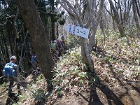 ����R�[�X����B