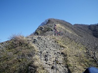 �U��Ԃ�Ƌ}�s�ȓ��̂肾�����̂��悭�킩��B