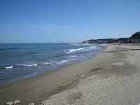 ���{�C�ɖʂ����p�c�l�B