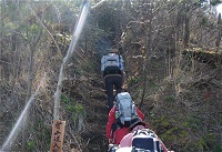 �o�R������͂����Ȃ�̋}�o���B