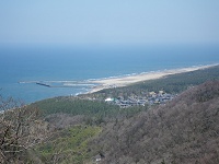 �W�����オ��p�c�l���ቺ�ɁE�E�E�B