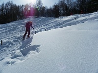 �Ζʘe�͐������܂�ɂȂ��Ă���B