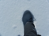 �T���T��������ŃX�m�[�V���[�ł��G��ł����B