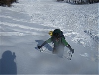 ���݌ł߂Ȃ��烉�b�Z�����ēo��̂͂ƂĂ���ρI�I