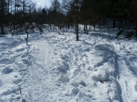 �{���̓o�R���[�g��i�ށB