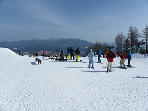 �R���w����̔����x�B