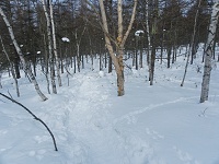 ���₩�ɂȂ�Ɩ��邢���т̒��̓���i�ށB