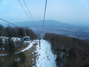 �S���h������̒��߁B���_���Ă��܂����E�E�E