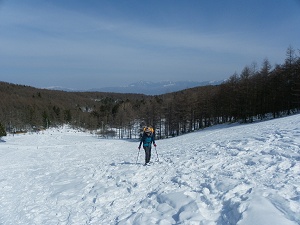 �o���Ă���Ɣw��ɔ����x�������Ă���B