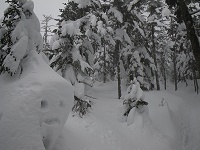 �k���̂悤�ȓ���i�ށE�E�E