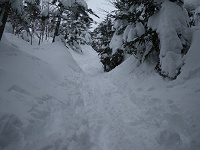 �����Ă����ς����ǂ����Ղ�̐�ő����t���₷���B