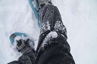 �����Ƃ��Ă���Ƃǂ�ǂ�Ⴊ�t�����Ă䂭�B�������̂܂܂Ȃ�G�r�̂����ۂŕ����邩���ˁ`(^^;)