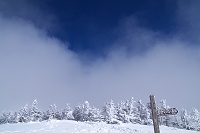 ��u�A����Ԃ������ĕt�߂������P���I�I�@���E�E�E