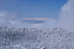 ��u�����ǃA���v�X�������Ċ����I�I�I