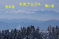 �����A���v�X�B