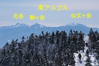 ��A���v�X