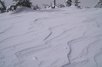 ���̋�������������B