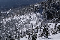 �Ȍ͂ꌻ�ۂ��m�F���܂����B