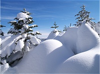 ���������̐�B�������܂�͂���Ȋ������B