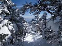 �ŏ��͂Ȃ��炩�ɉ���E�E�E