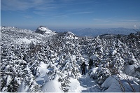 �q���b�e���瑱���Ő��͓W�]������C�������悢�B