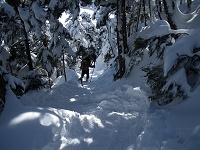 �V���r�\�̐X�͋}�ȉ����B