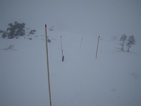 �ԕz���̖_�̂Ƃ���ɐi��ł䂭�E�E�E�B