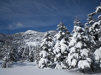 �k���x�Ɛ�A�����Ղ�̐�̃V���r�\���f���炵�����i���B