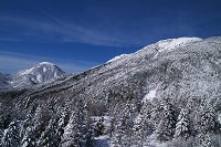 ���[�v�E�F�C�̎ԑ�����씪���x�̓W�]�B