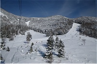 �������܂ł����ؒ��ꡂ���ɁE�E�E�B