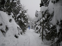 �k���x�o�R���ɓ���ƂƂ���ɕ����Ȃ��Â����B