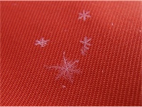 �q���q���ƍ~���Ă�����̌����B