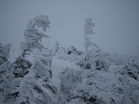 ���̋����Ƃ���Ȃ̂ōr�X�������͋C�̐�i�F���L����B