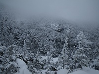 ������o��܂��B