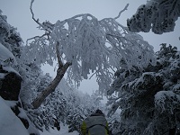 �o��͂���قǃL�c�N���Ȃ����悢�X�΂������܂��B