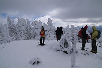 ���R���B�����炪��ԍ����Ƃ��낾�B