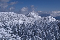 ���̏������R�͎O��B