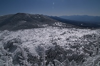 �ؒ����ՁB